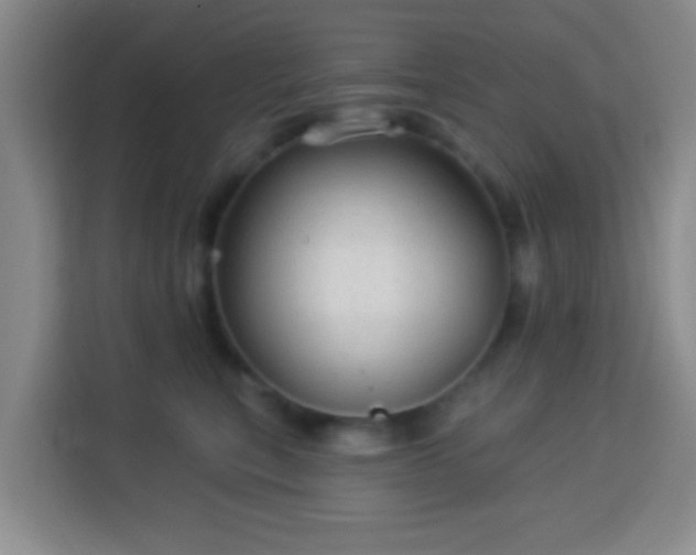 X0000113960567200910021528