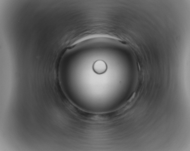 X0000113960568200910021528