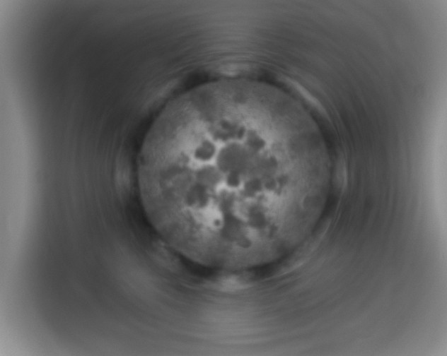 X0000113960569200910021528