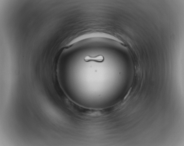 X0000113960572200910021528