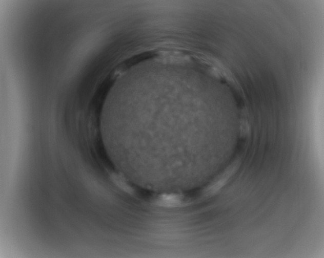 X0000113960573200910021528