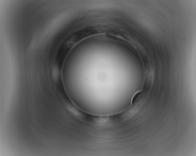 X0000113960574200910021528