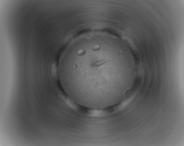 X0000113960575200910021528