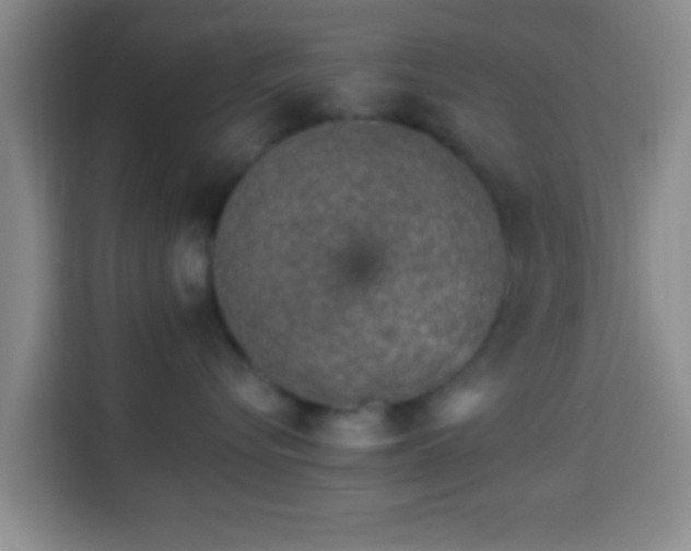 X0000113960576200910021528