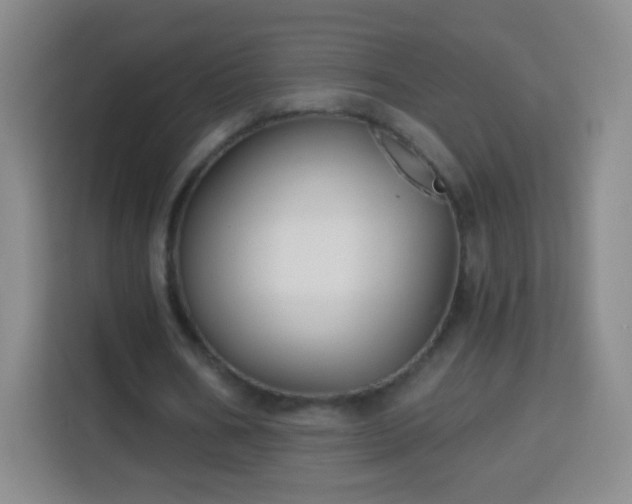 X0000113960578200910021527