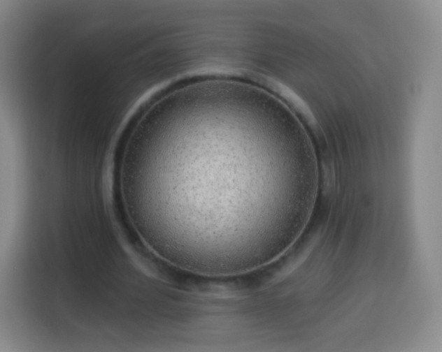 X0000113960580200910021527