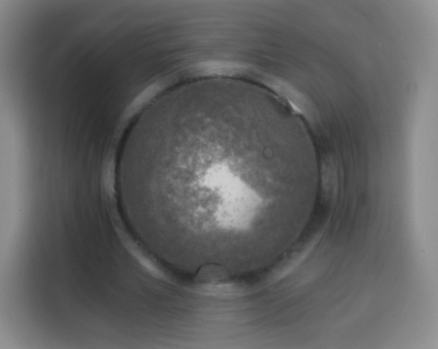 X0000113960581200910021527