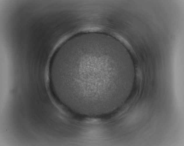 X0000113960582200910021527