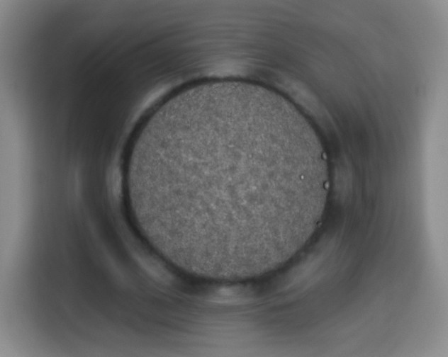 X0000113960584200910021527