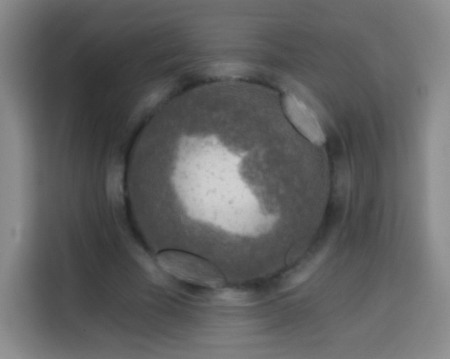 X0000113960585200910021527