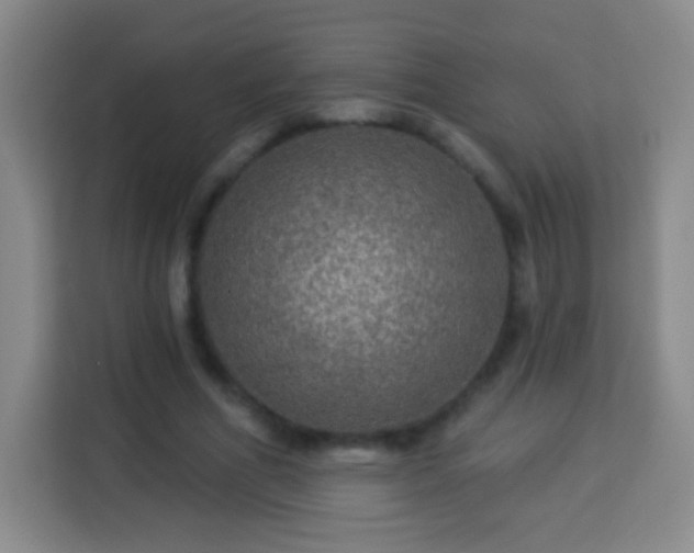 X0000113960586200910021527