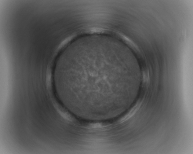 X0000113960588200910021527