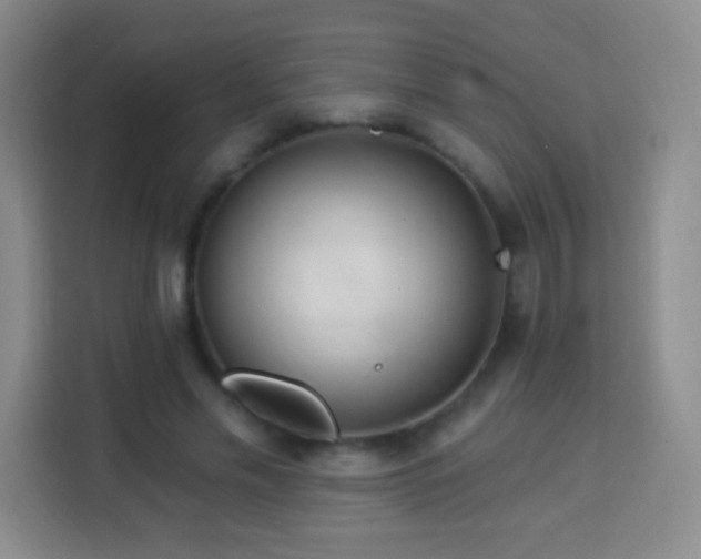 X0000113960589200910021527