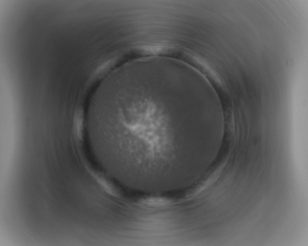 X0000113960590200910021527