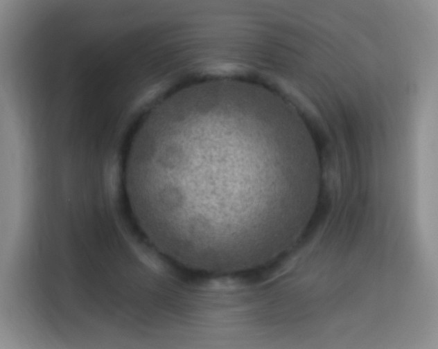 X0000113960591200910021527