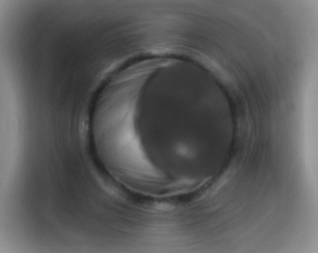 X0000113960592200910021527