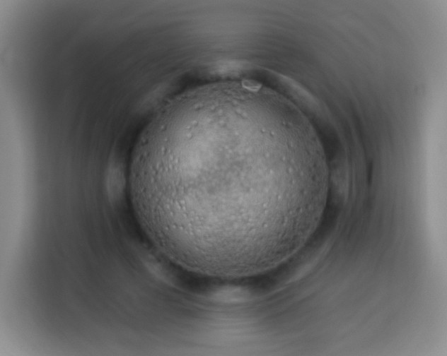 X0000113960593200910021527