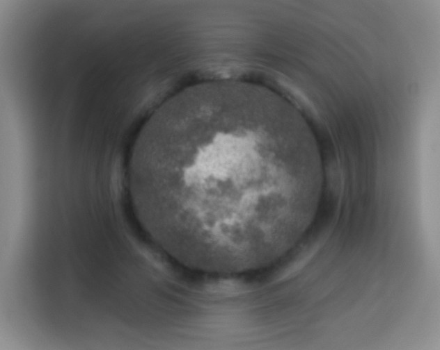 X0000113960594200910021527