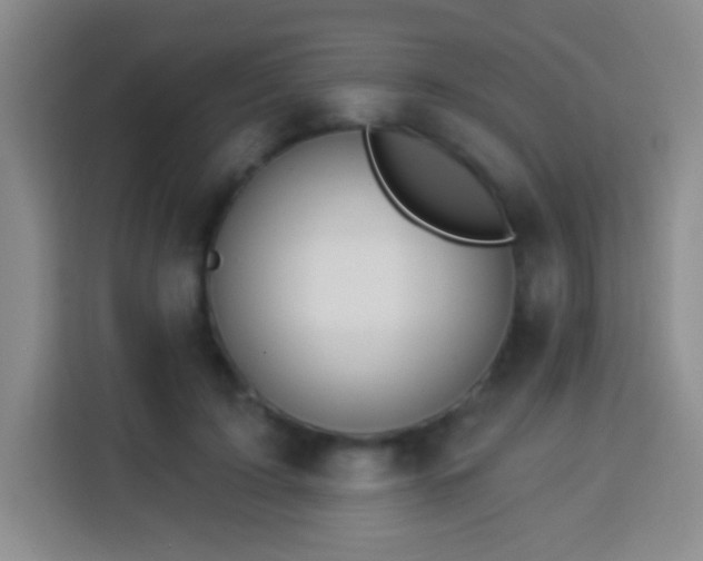 X0000113960595200910021527