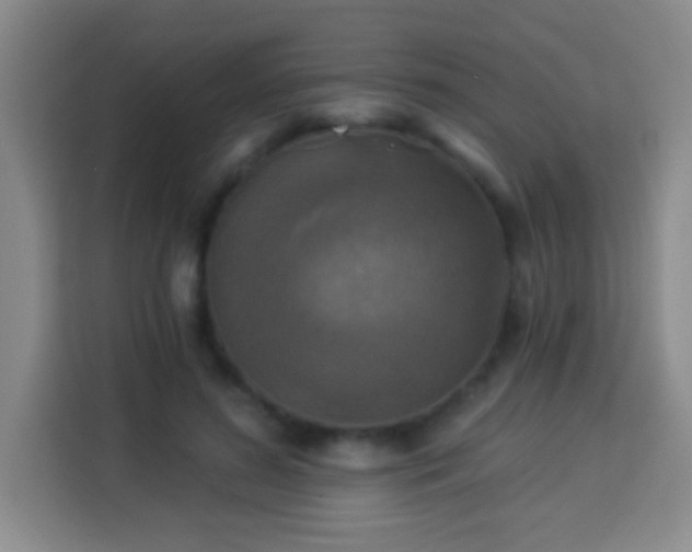 X0000113960596200910021527