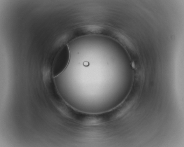 X0000113960597200910021527