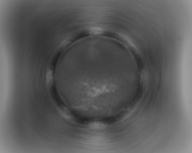 X0000113960598200910021527