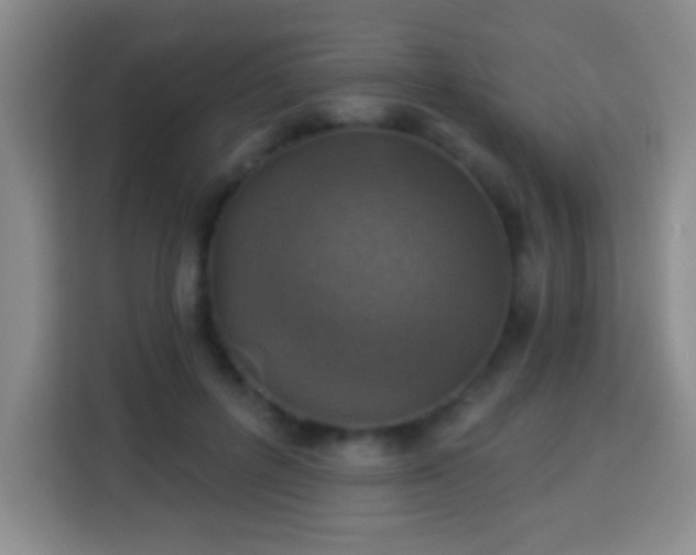 X0000113960600200910021527