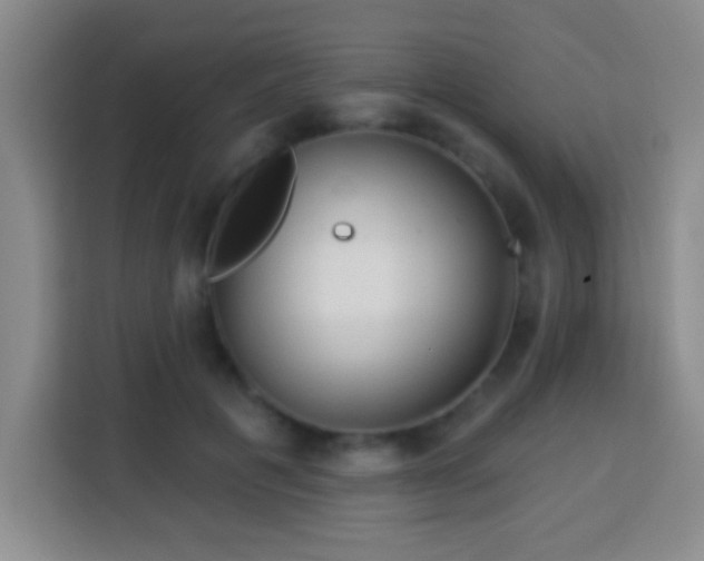 X0000113960601200910021527