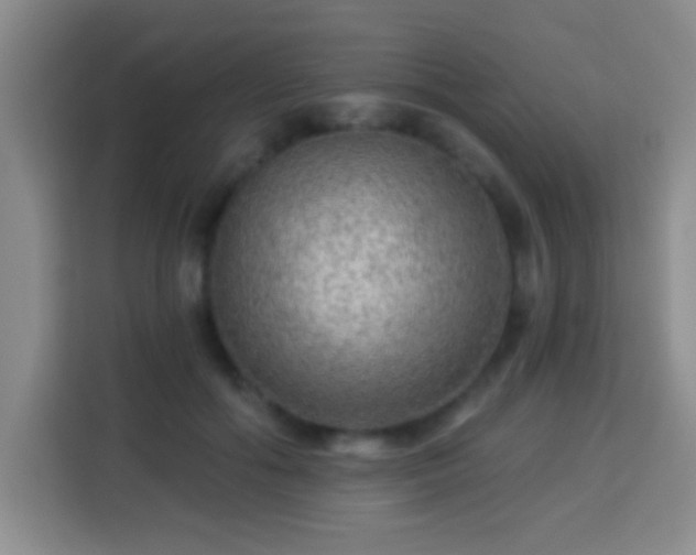 X0000113960602200910021527