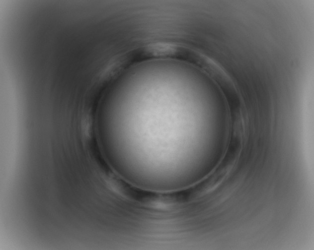 X0000113960604200910021527