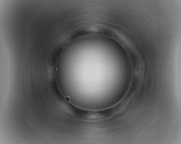 X0000113960605200910021527