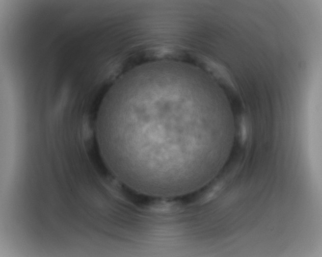 X0000113960607200910021527