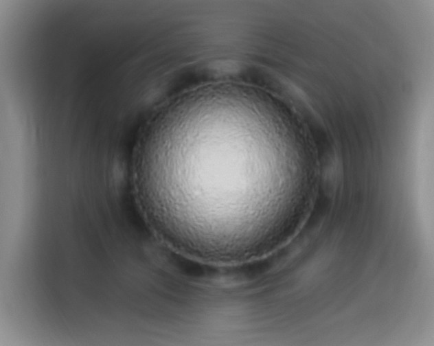 X0000113960608200910021527