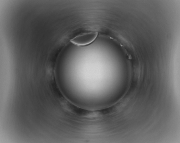 X0000113960609200910021527