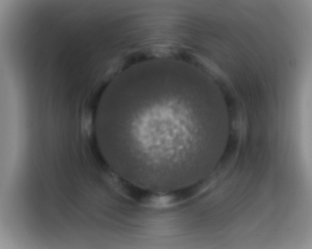 X0000113960610200910021527