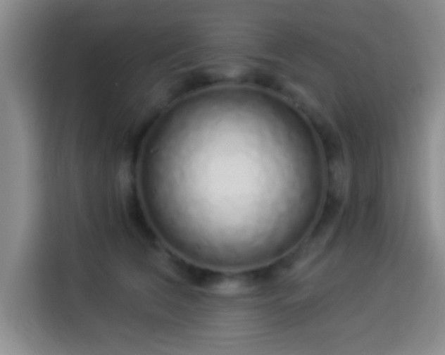 X0000113960612200910021527