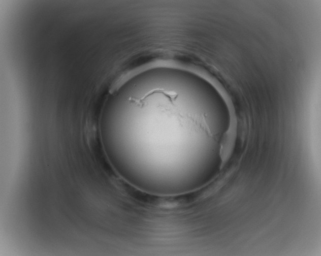 X0000113960613200910021527