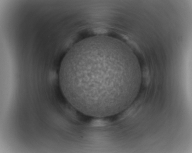 X0000113960614200910021527