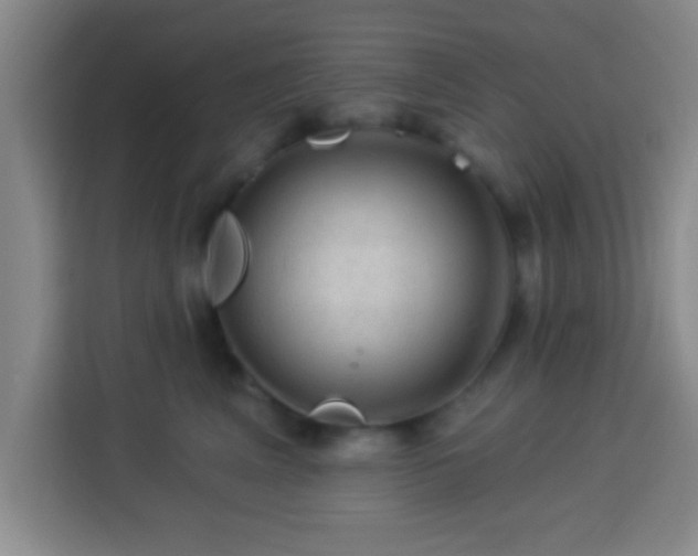 X0000113960617200910021527