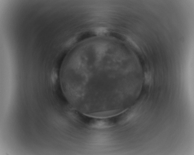 X0000113960618200910021527