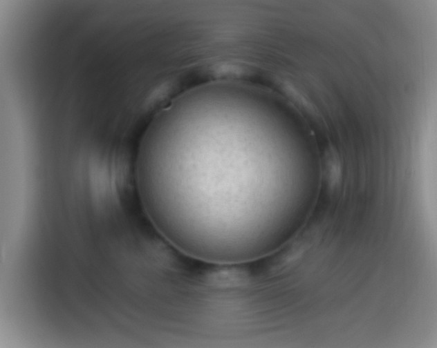 X0000113960619200910021527