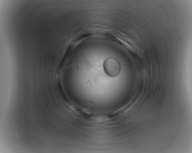 X0000113960621200910021527