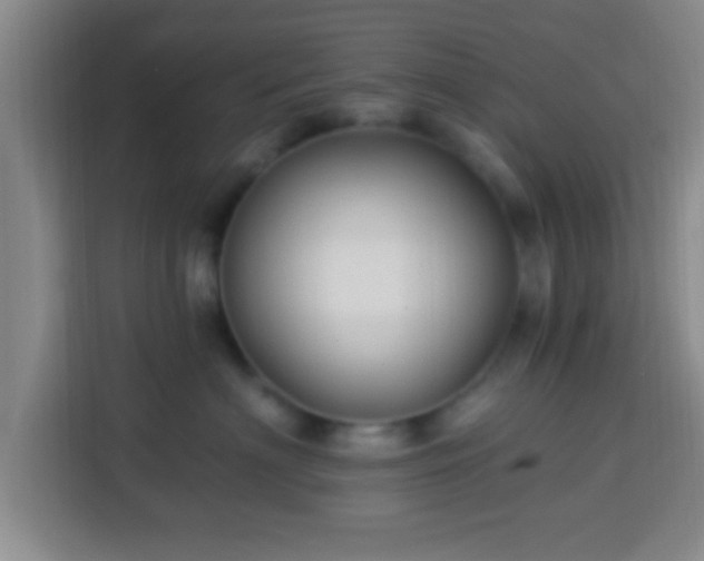 X0000113960622200910021527