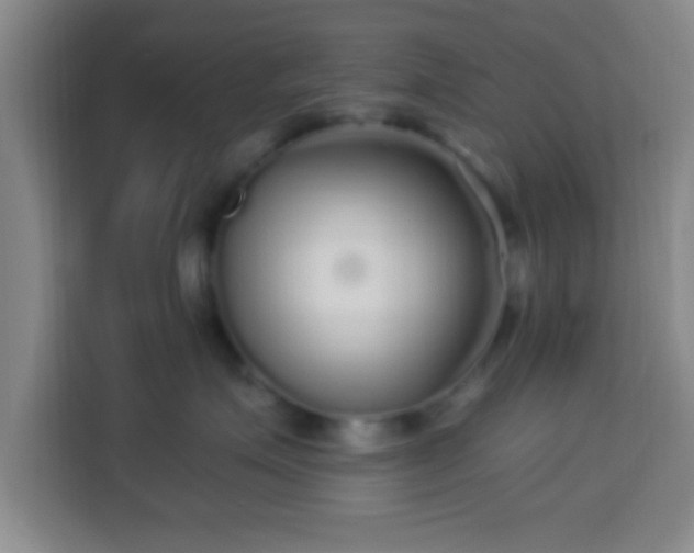 X0000113960623200910021527