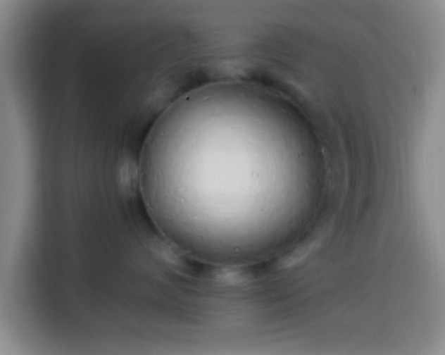 X0000113960624200910021527