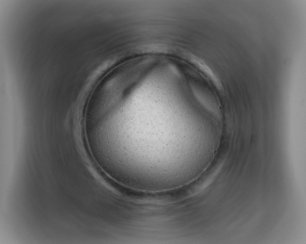 X0000113960625200910021526