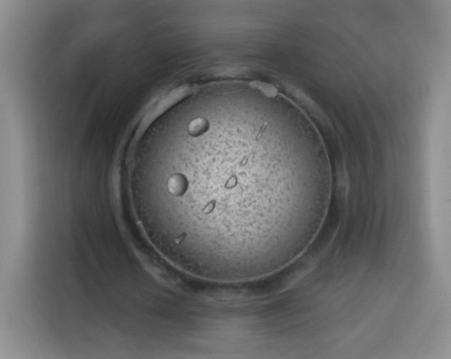 X0000113960626200910021526