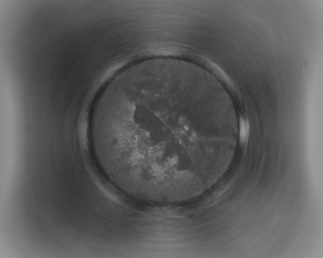 X0000113960627200910021526