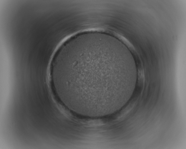 X0000113960628200910021526