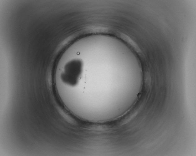 X0000113960629200910021526